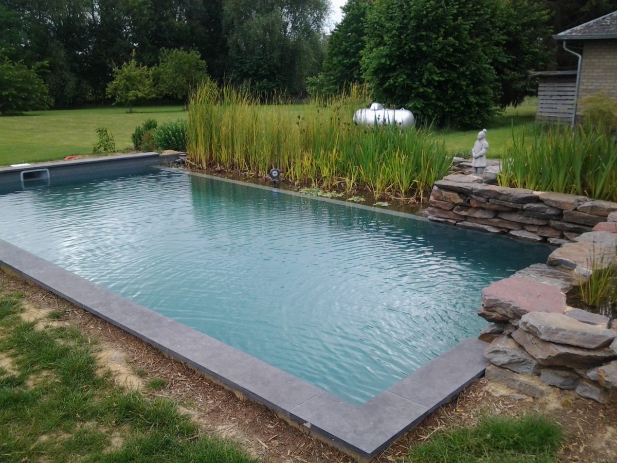 Bassin De Baignade - AQUATIC DESIGN CONCEPT ET GARDEN